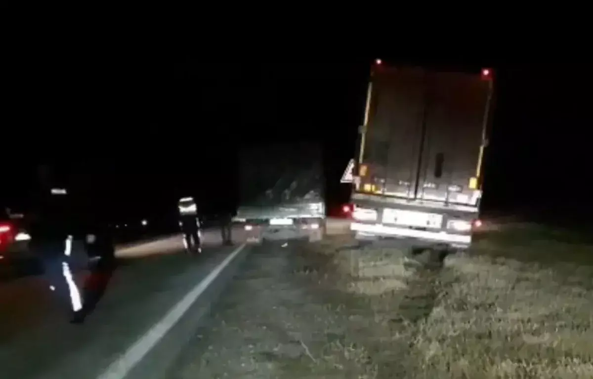 Пьяный дальнобойщик пытался провезти 30 тонн бытовой техники из Казахстана в Россию - новости на Lada.kz 14.11.2025