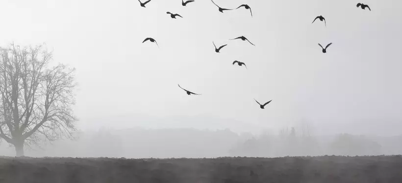 Какая погода ожидает казахстанцев в грядущие выходные