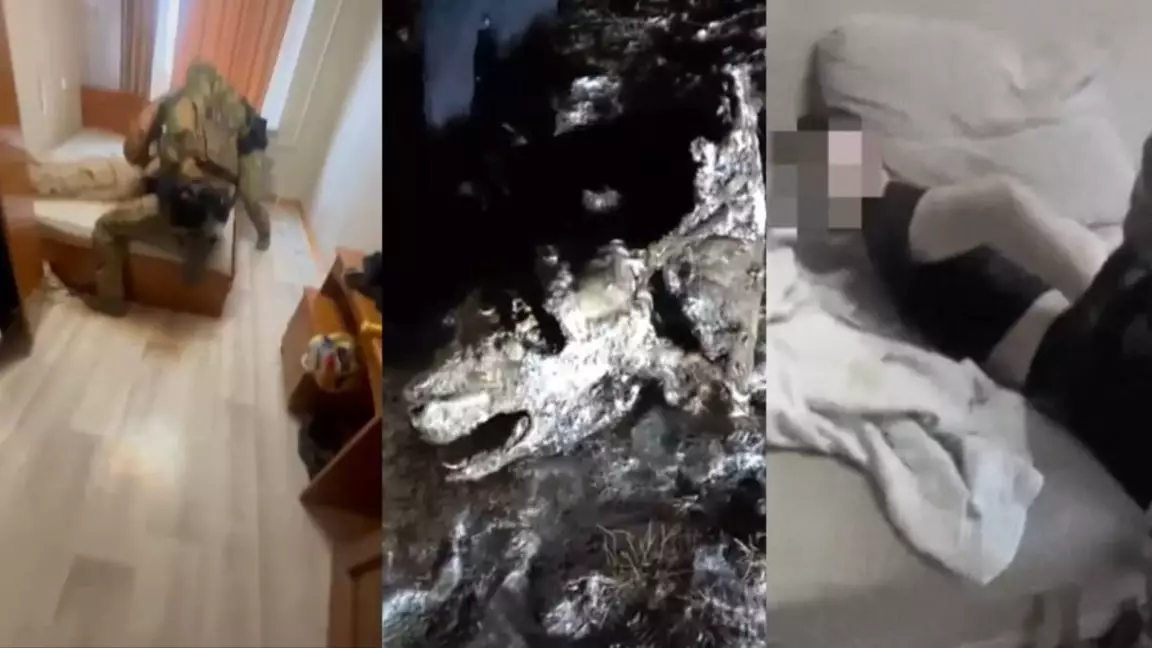 Ұлытау облысында мал ұрлығымен айналысқан қылмыстық топ ұсталды