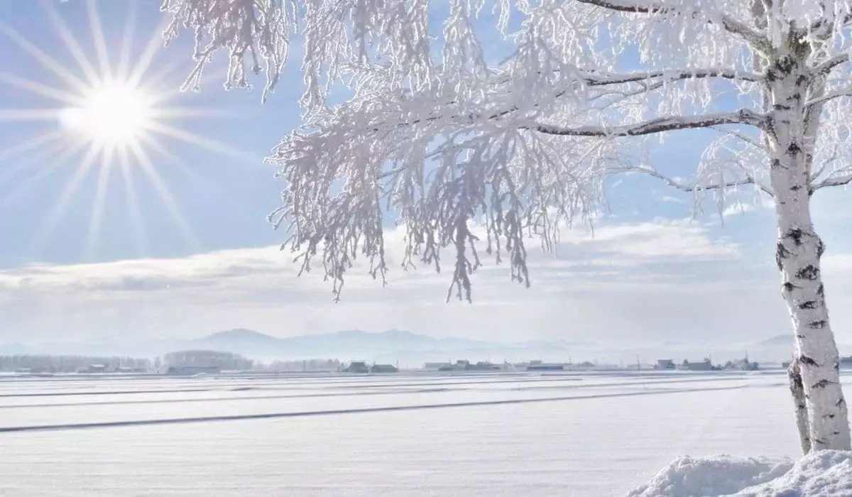 Какой будет зима в Казахстане: озвучен прогноз погоды