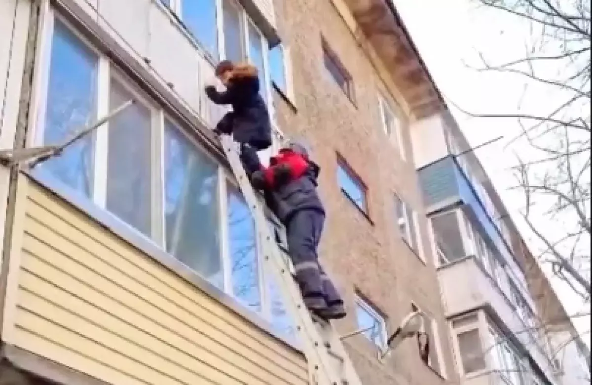 Сердце в пятках: мальчик сорвался с балкона ради кота и повис