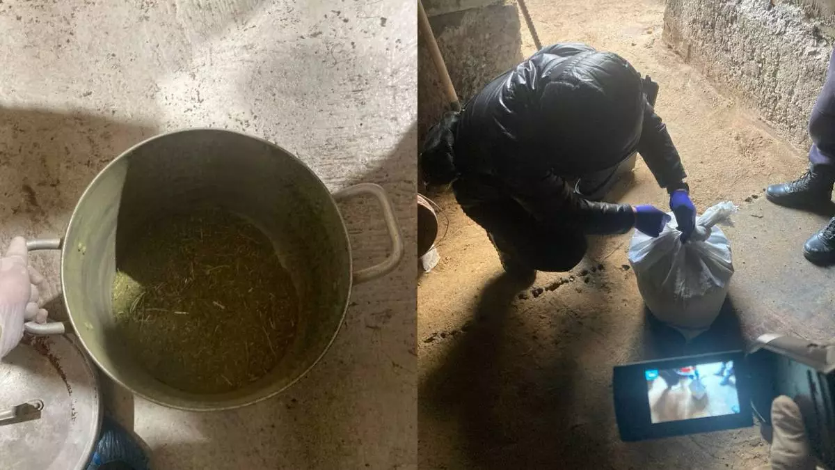 Закон и порядок: 6 тысяч уголовных дел в 2025 году полиция возбудила за наркотики