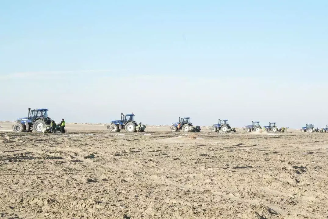 Арал возвращают к жизни: начался новый этап озеленения осушенного дна