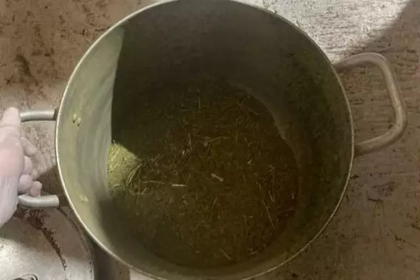 Почти 6 кг марихуаны изъяли полицейские у жителя Костанайской области