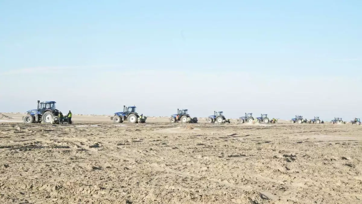 Возрождение Арала: как на дне высохшего моря появляется новый лес