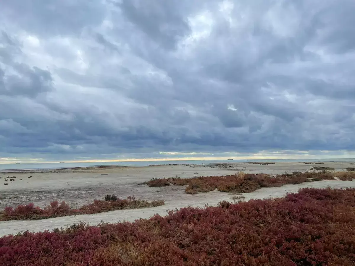 Уходящее море: жители Актау вспоминают пляжи, которых больше нет - новости на Lada.kz 14.11.2025