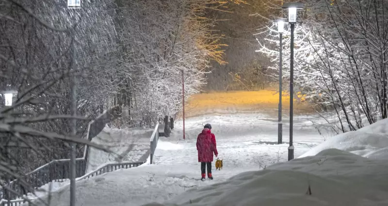 Декабрь 2025 года будет теплее нормы в Казахстане