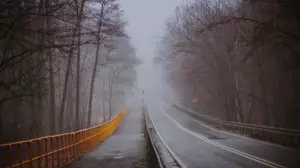 15 қарашада еліміздің басым бөлігінде тұман түсіп, жел соғады  