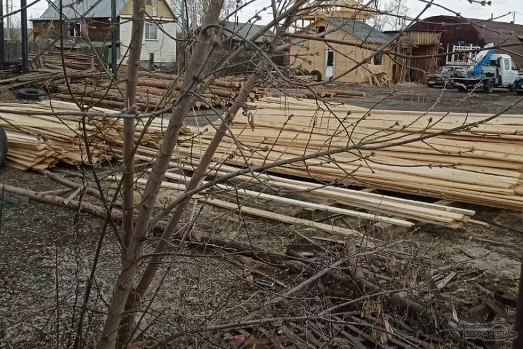 Россельхознадзор предотвратил экспорт зараженной древесины с Урала в Казахстан.