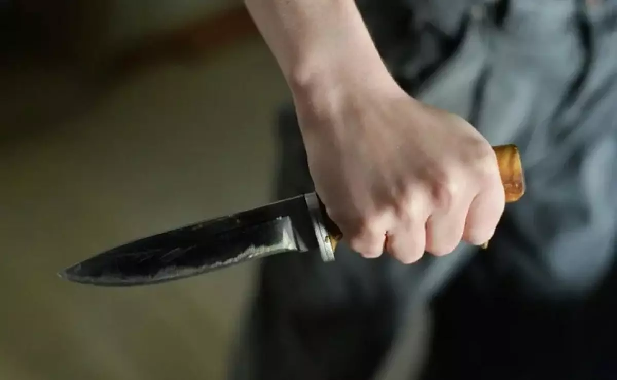 14-летняя девочка скончалась от ножевых ранений в Акмолинской области