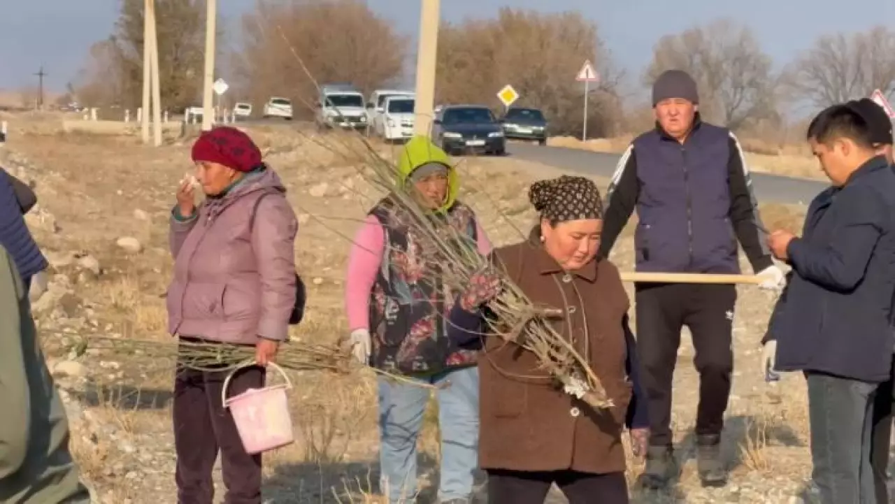 7,5 тысячи саженцев высадили в области Жетісу