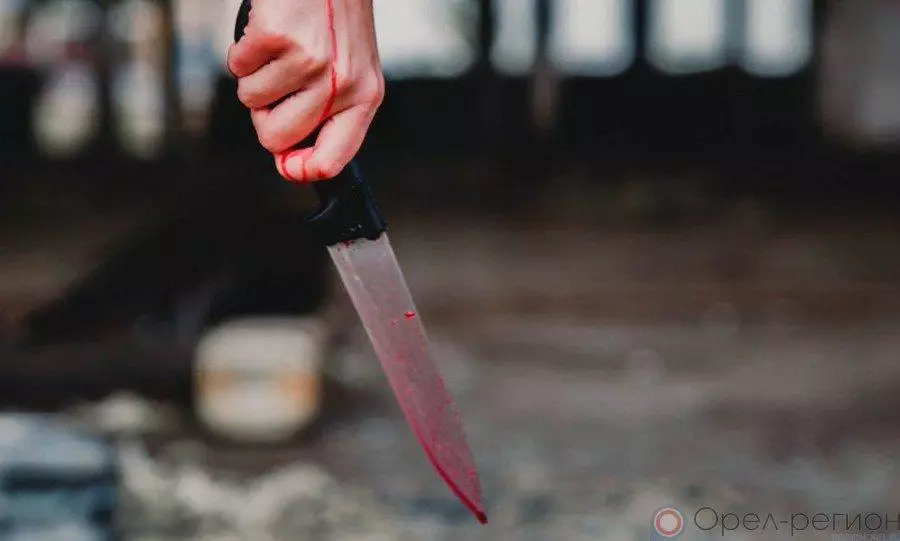 Ақмола облысында 14 жастағы қызды қатыгездікпен өлтіріп кетті