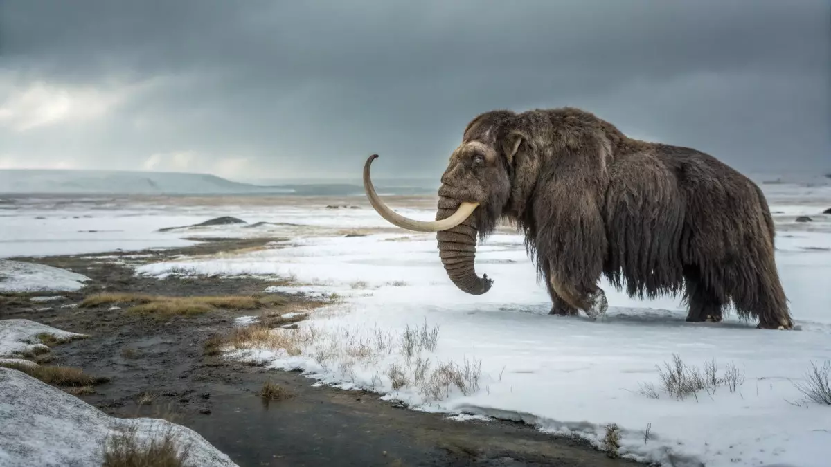 Ученые впервые сумели «прочитать» РНК шерстистого мамонта