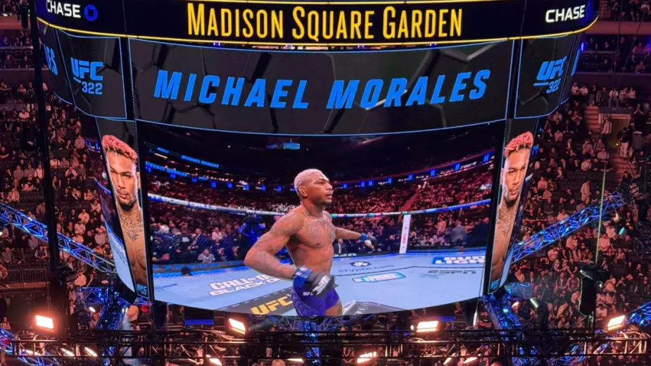 Нокаут в первом раунде определил нового претендента на титул UFC в весе Шавката