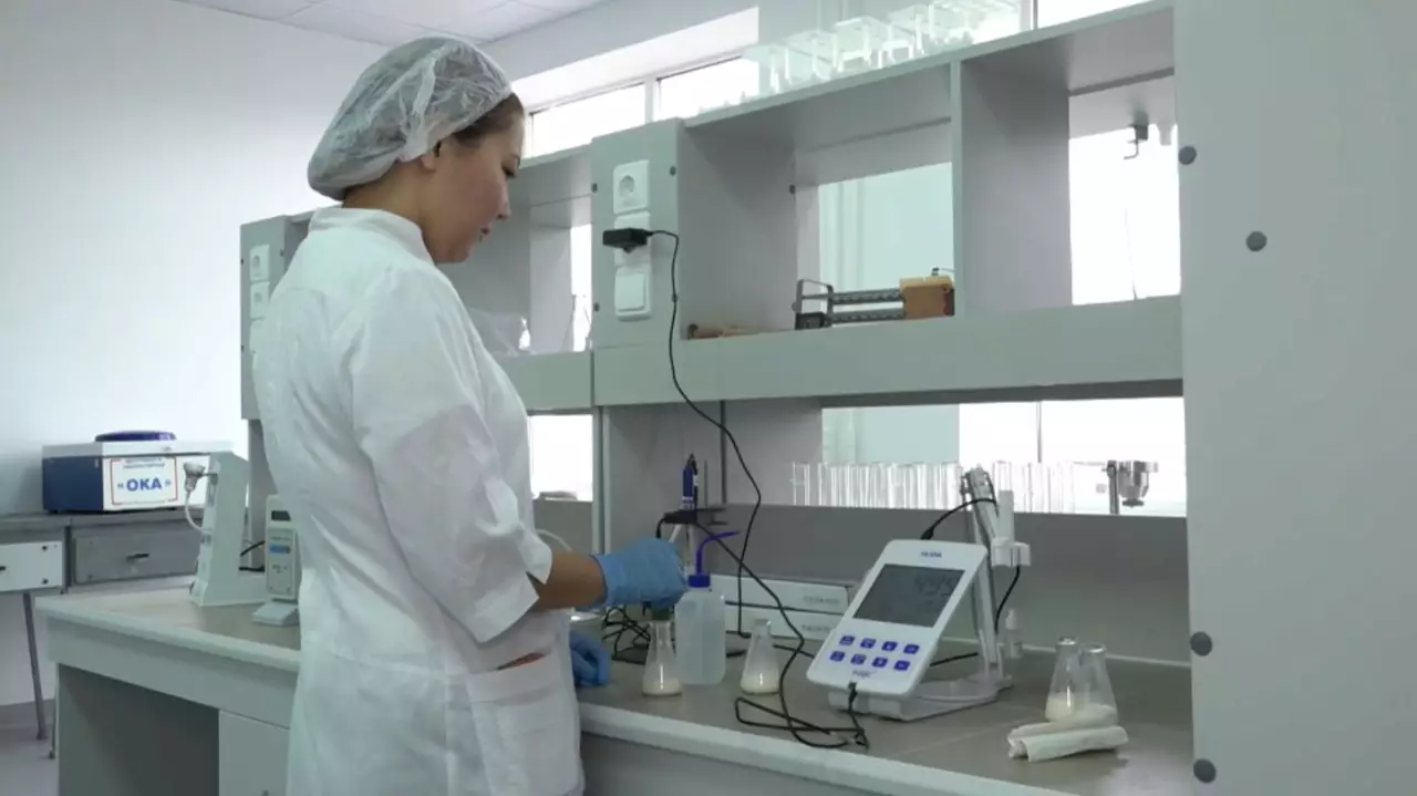 Йогурт и мороженое из верблюжьего молока разрабатывают в ЗКО