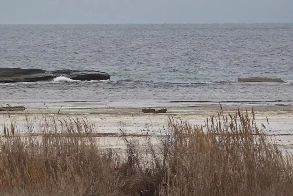 Площадь Каспийского моря сократилась на 36 тысячи кв. км