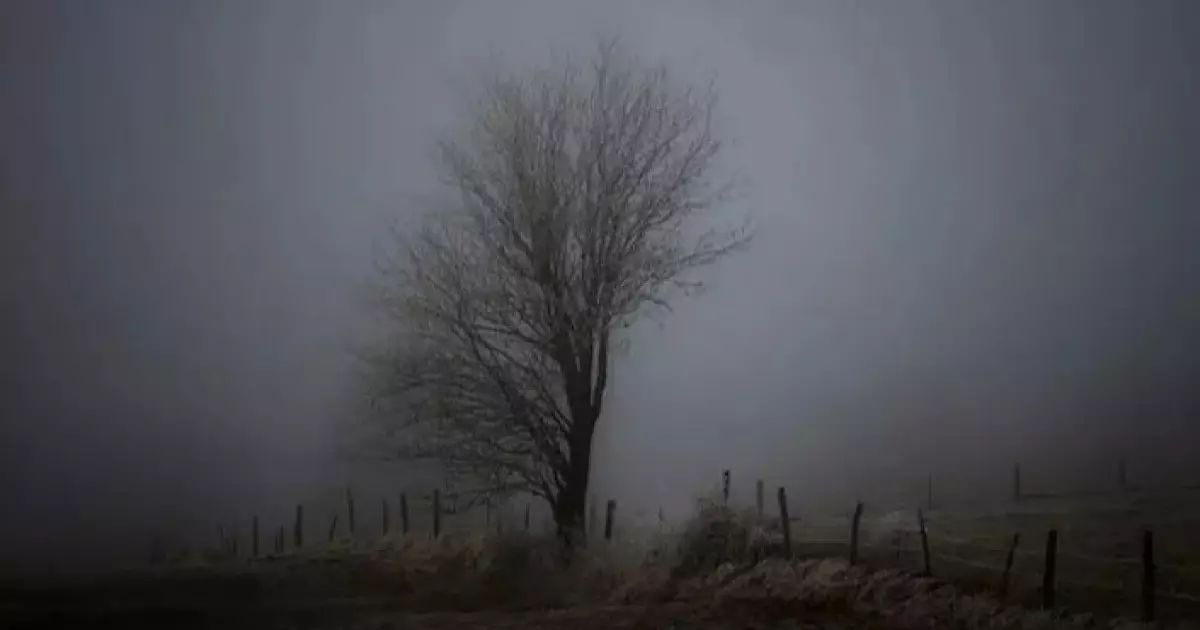  17 қарашада ауа райы қандай болады? 