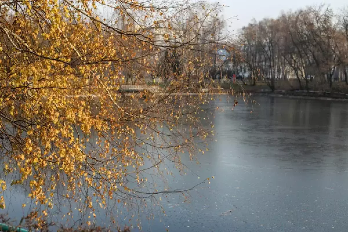 Шокирующая находка: у пруда обнаружены фрагменты тела ребенка