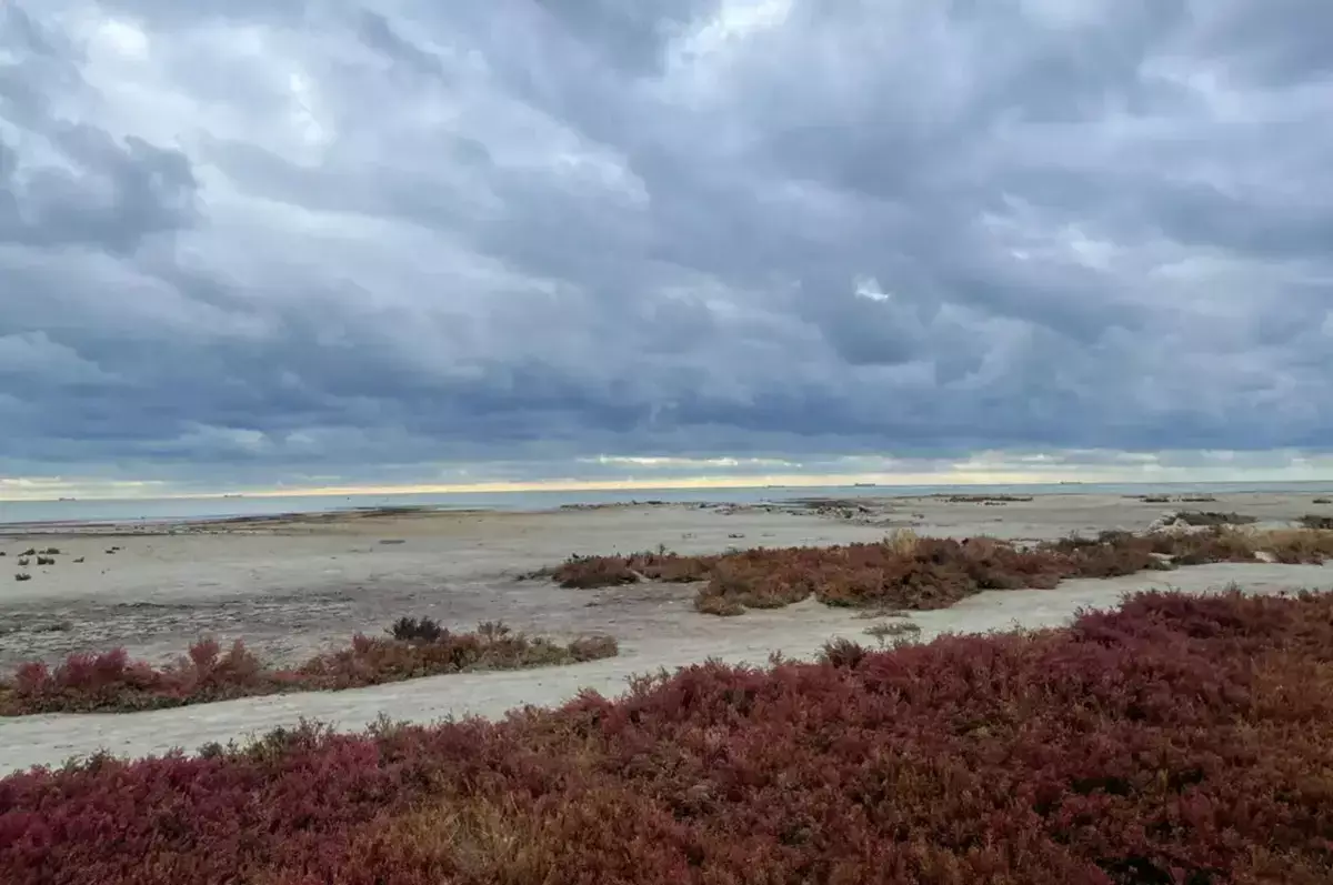 Каспий стремительно мелеет: площадь моря уменьшилась на 36 тысяч квадратных километров - новости на Lada.kz 16.11.2025