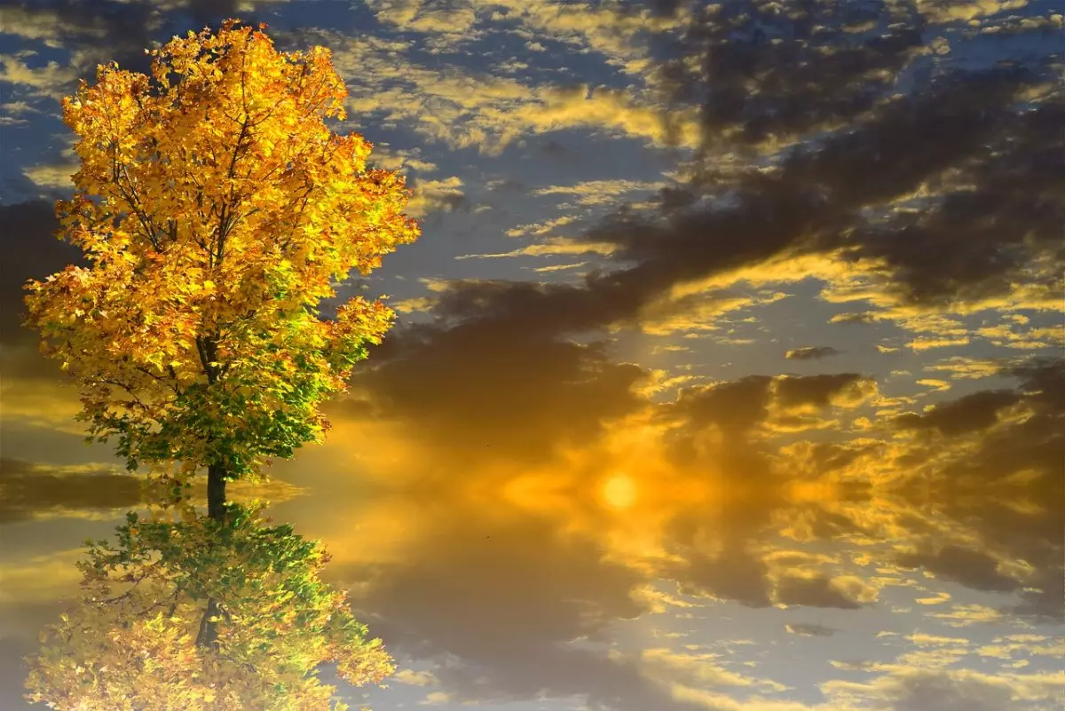 Жауын-шашынсыз: 17 қарашаға арналған ауа райы болжамы