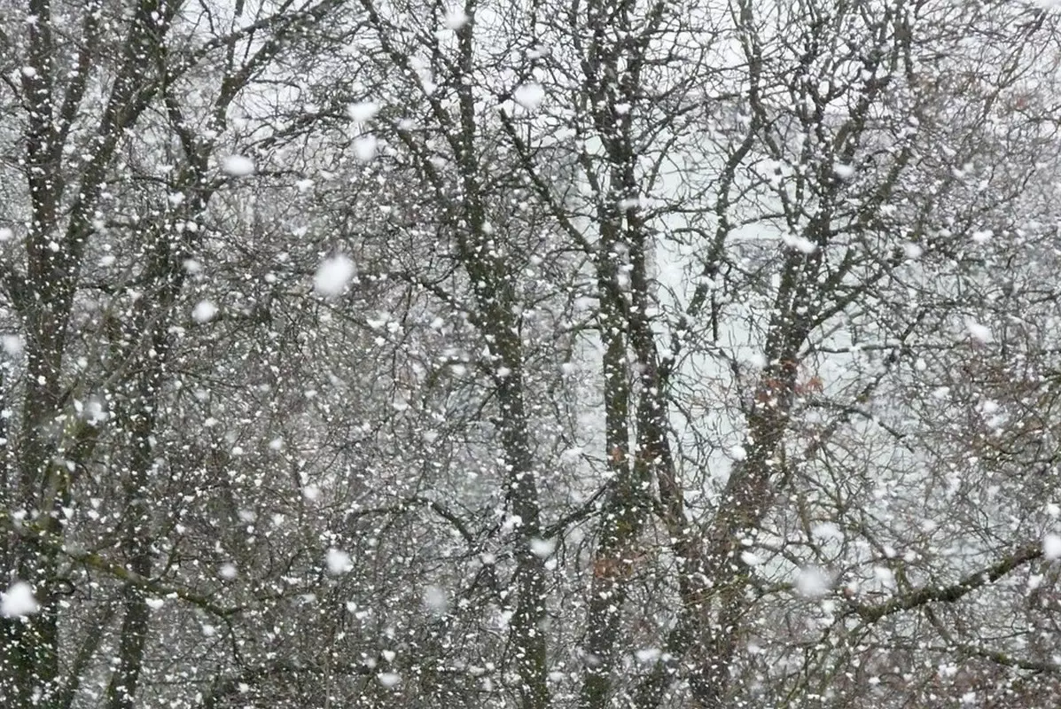 Туман и гололед: где в Казахстане объявлено штормовое предупреждение