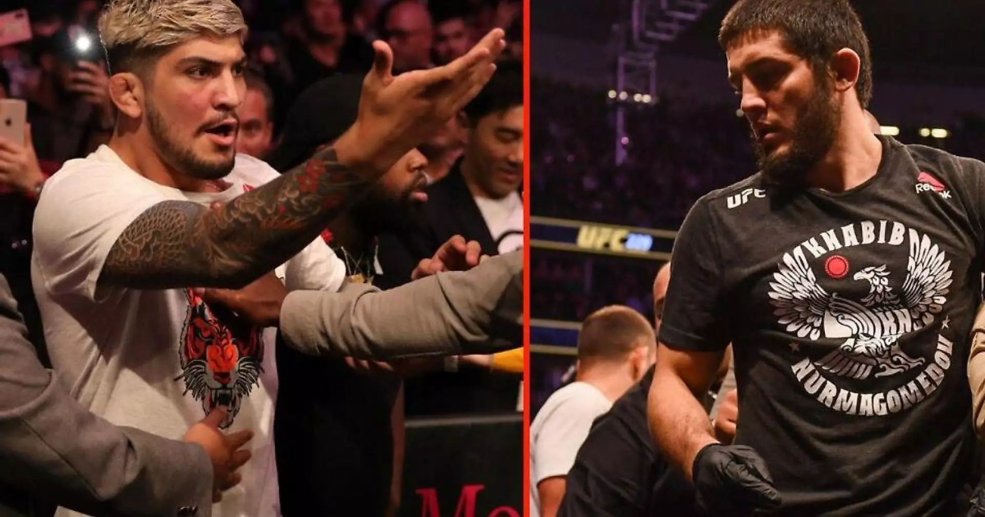 Массовая драка с участием команд Хабиба и Конора всколыхнула турнир UFC