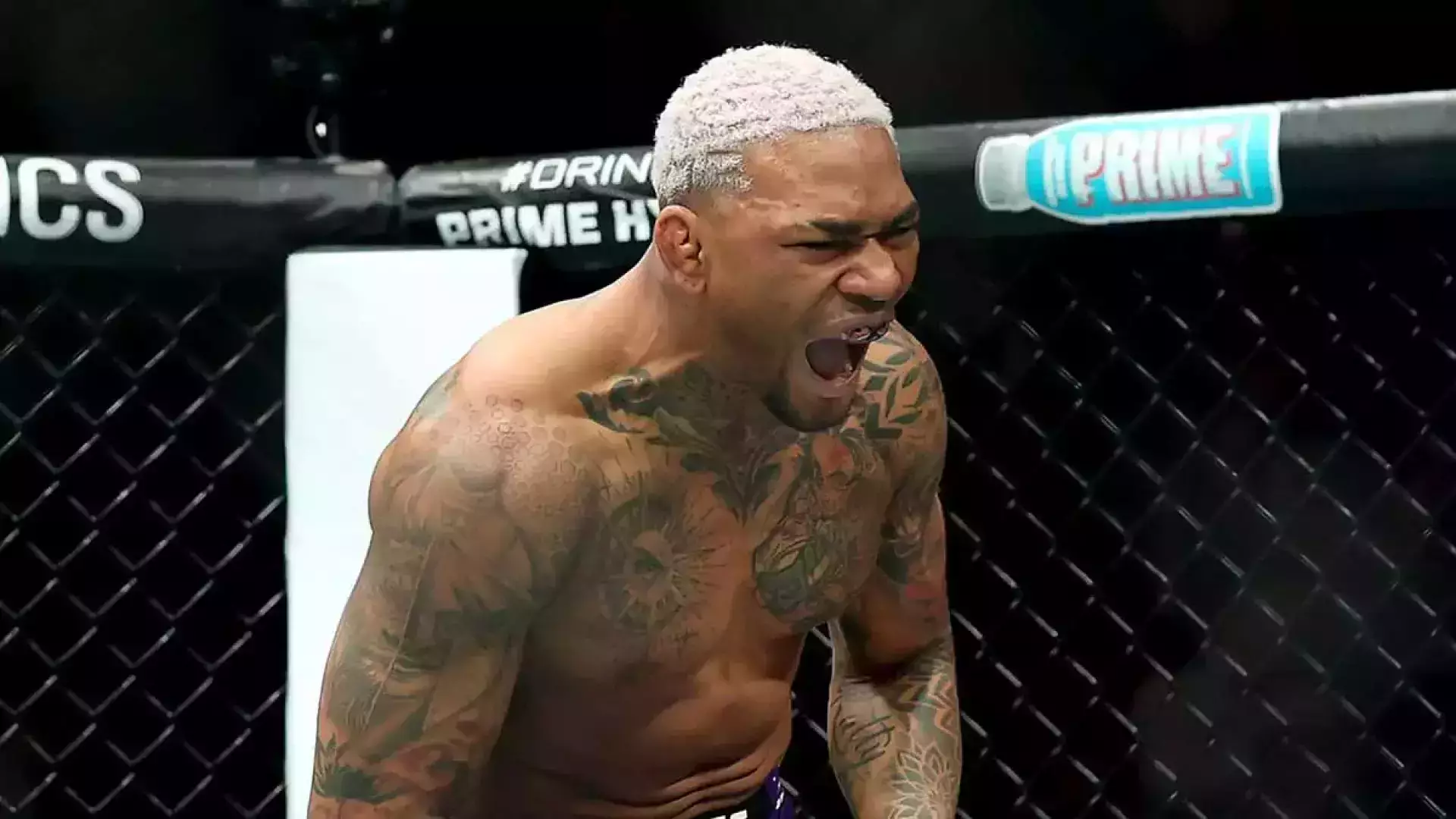 Моралес нокаутировал Брэди и возглавил гонку претендентов