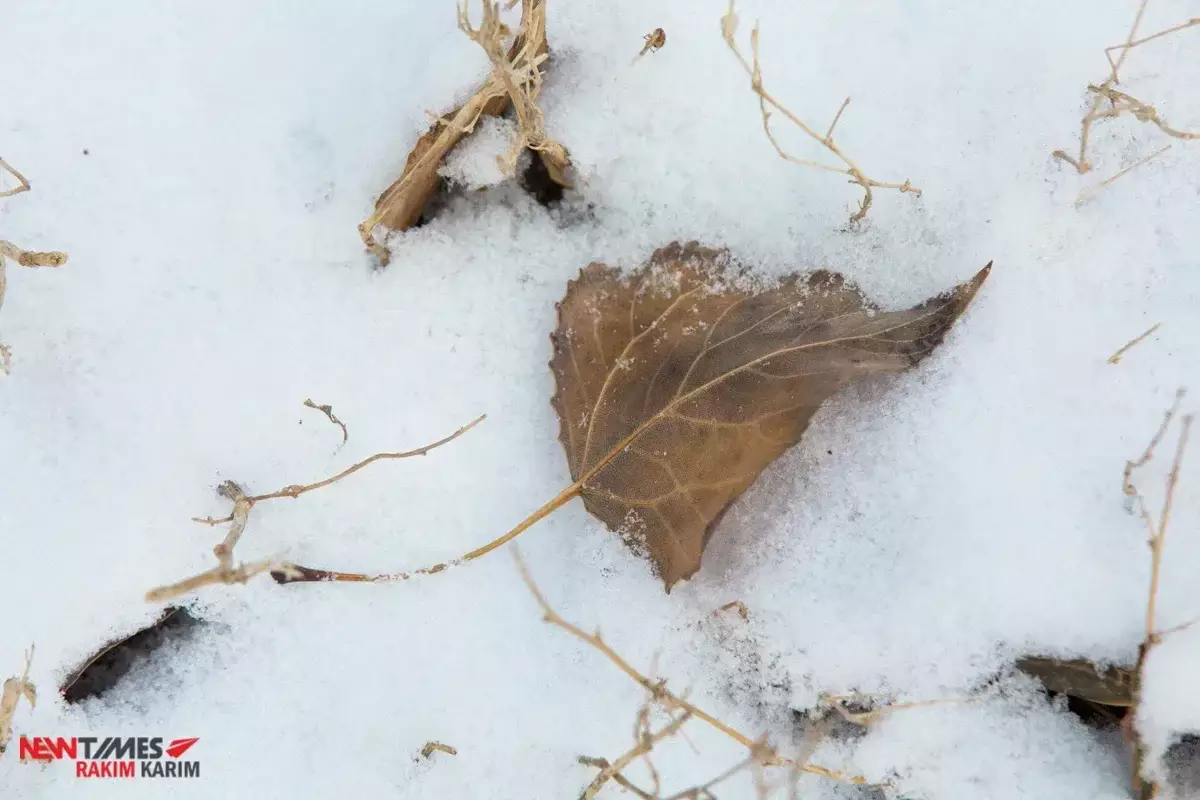Прогноз погоды в Казахстане на 17 ноября