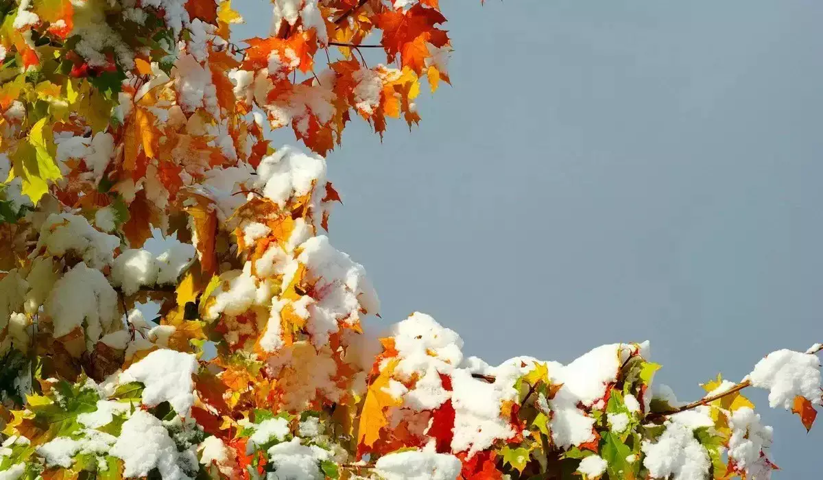 Жаңбыр, қар жауады: 17 қарашада елімізде ауа райы қандай болады