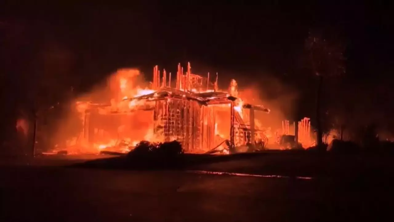 Калифорния восстанавливает леса после крупнейших пожаров