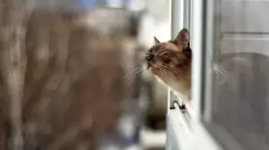 Қазгидромет Астана, Алматы және тағы 9 қала тұрғындарына ескерту жасады