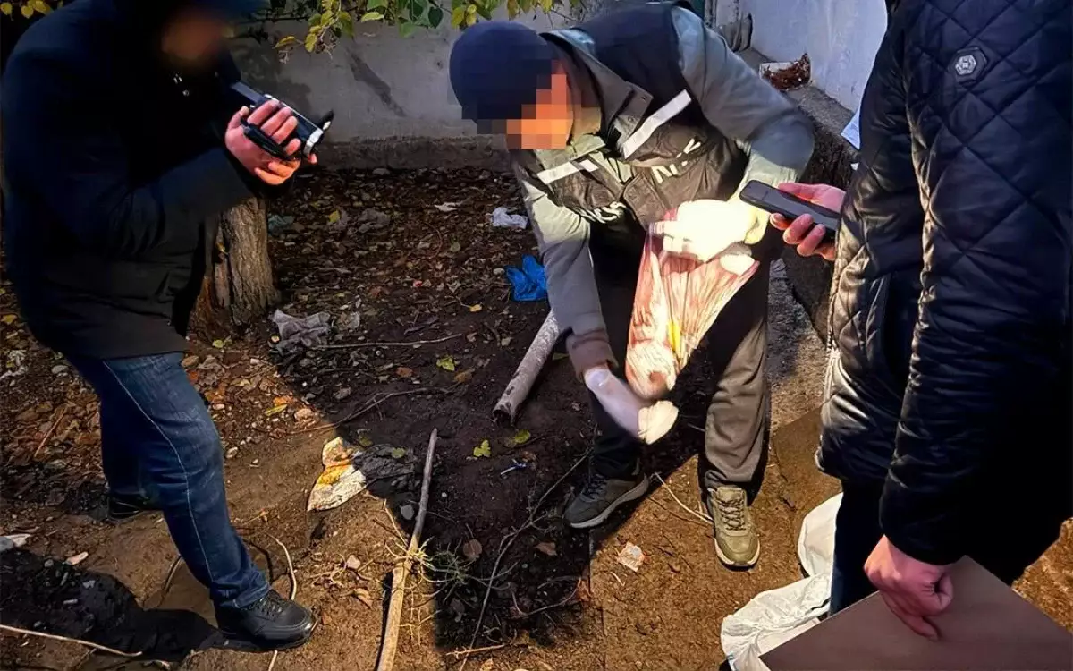 ҰҚК есірткі жеткізудің 3 халықаралық және 3 аймақтық арнасын жойды