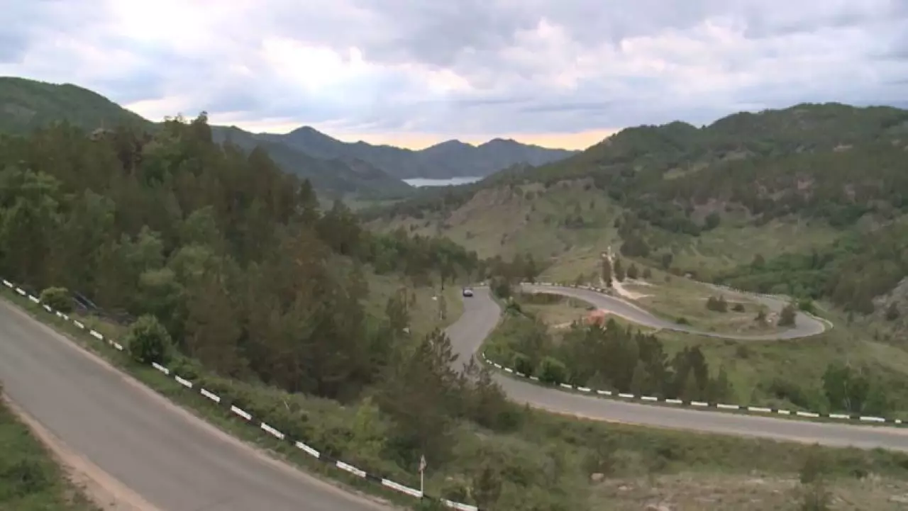 Новые методы лесовосстановления тестируют в Казахстане