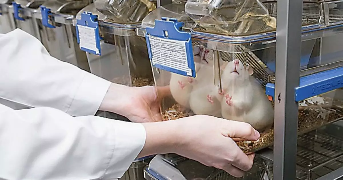  Үкімет: еліміз аймақтағы фармацевтикалық хаб болуға ниетті 