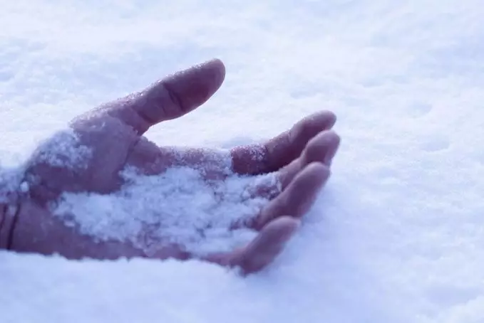 Акмолинца нашли мёртвым во дворе собственного дома