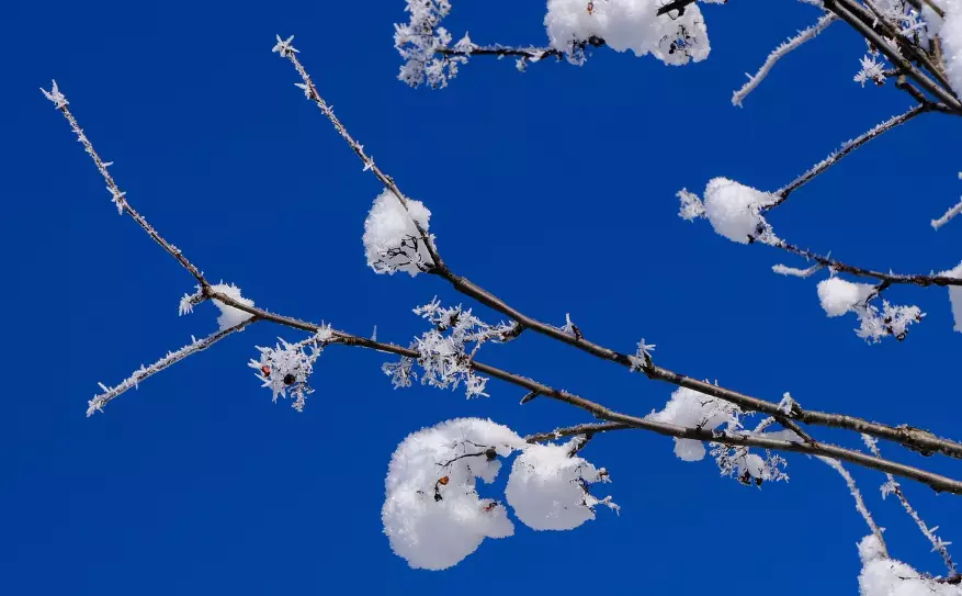 Неустойчивая погода сохранится в ближайшие три дня в Казахстане