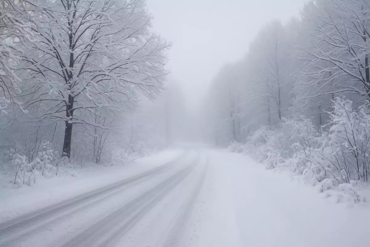Биыл елде қыс біршама жылы болады