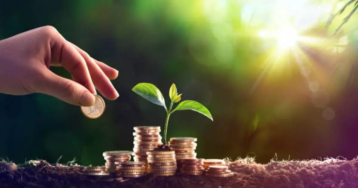  Қостанайда шенеуніктер инвесторға тегін жер бермеген 