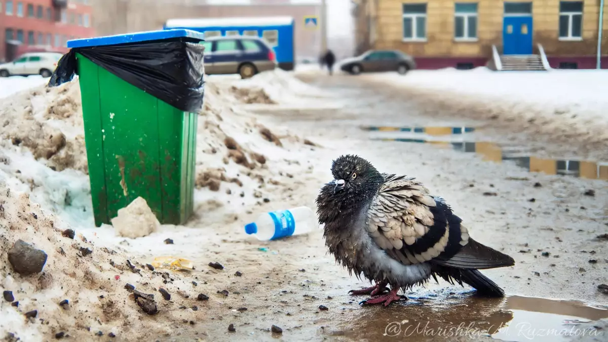 Декабрь в Казахстане будет теплее нормы