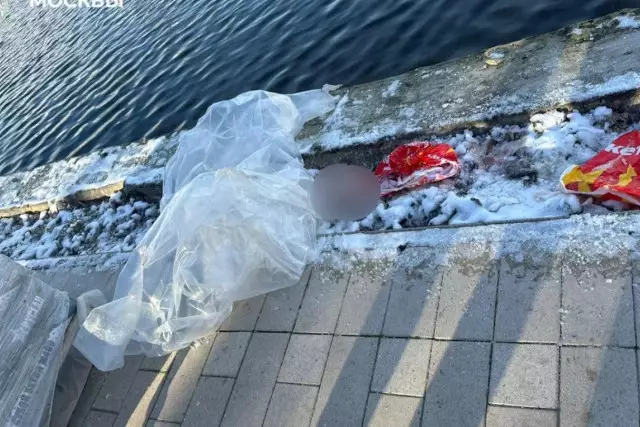 Тоғаннан сөмкеге салынған баланың басы табылды