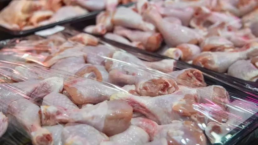Қазақстанға Ресейден 20 тонна құс еті заңсыз өткізілмек болған