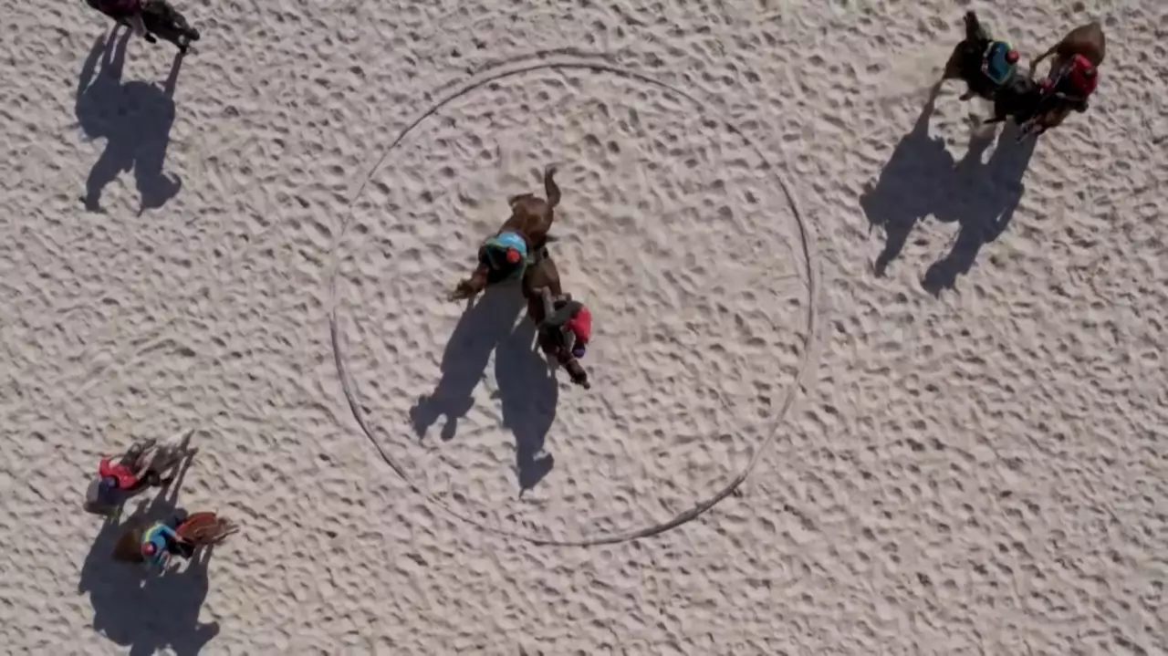 Шымкентте көкпардан Қазақстан кубогы басталды