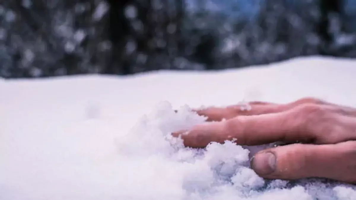 Ақмола облысында ер адам өз ауласынан өлі табылды