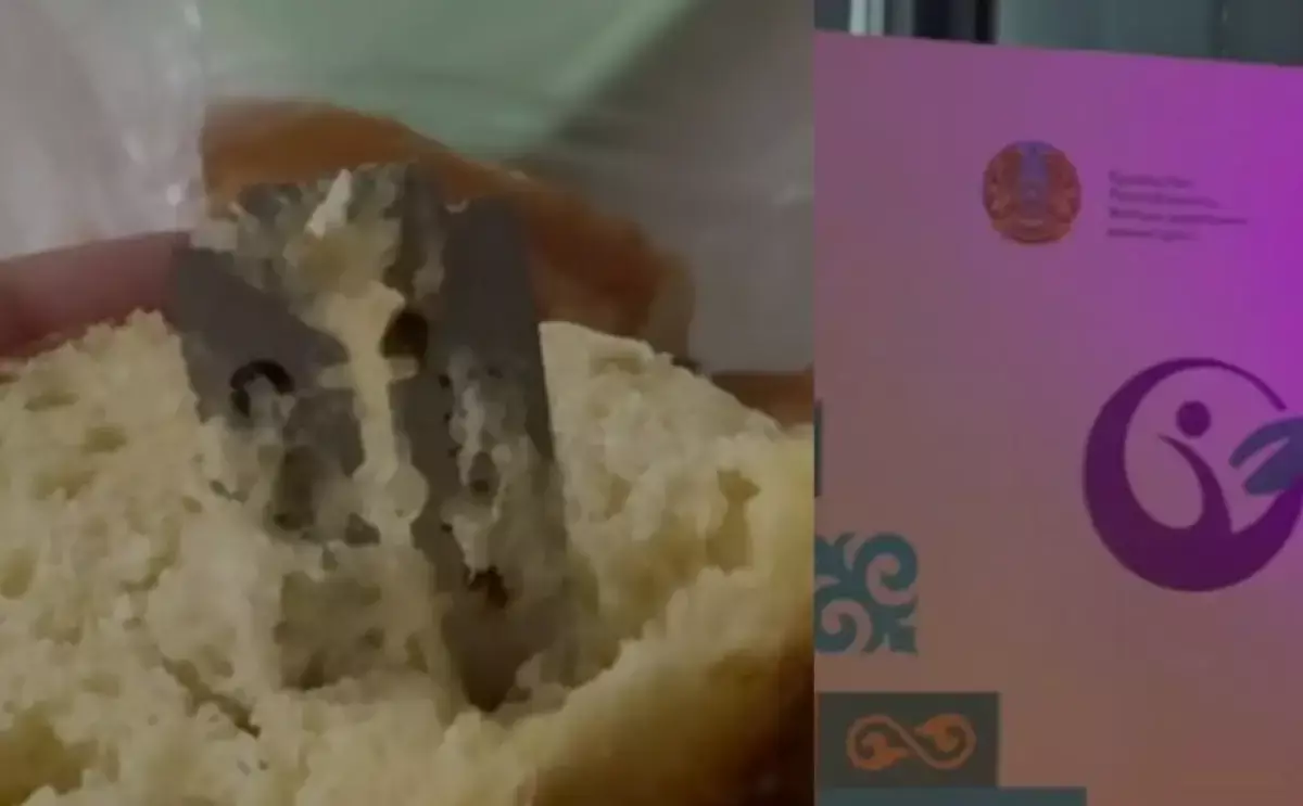 Казахстанка обнаружила лезвие в купленном на республиканской выставке хлебе (видео) - новости на Lada.kz 17.11.2025