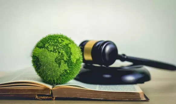 Экологическое общество предлагает закрепить в Конституции РК некоторые нормы