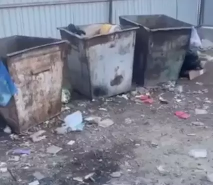 Қызылорданың қақ ортасында қоқысқа батқан аула: әкімдік көрмей ме, әлде көргісі келмей ме?