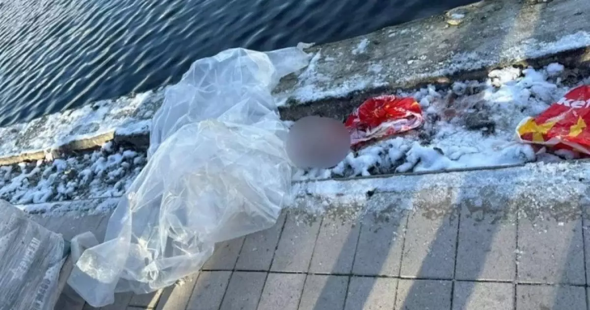  Тоғаннан сөмкеге салынған баланың басы табылды 