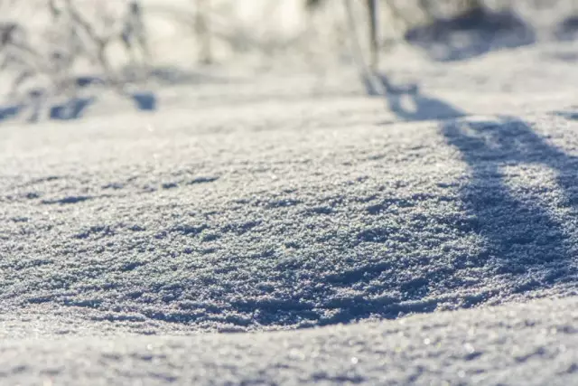 Алдағы күндері Қазақстанда 23 градусқа дейін аяз болады