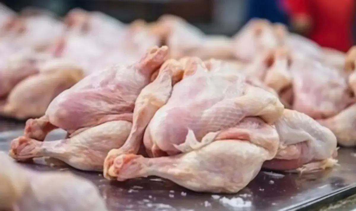 Российская курица не прошла проверку: Казахстан вернул 20 тонн обратно - новости на Lada.kz 17.11.2025