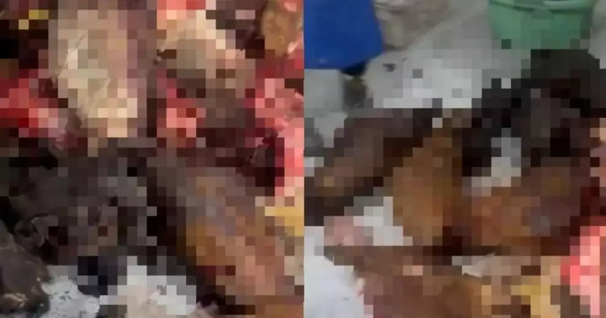  Антисанитариялық цех: Астанада заңсыз ет өндірушілер ұсталды 